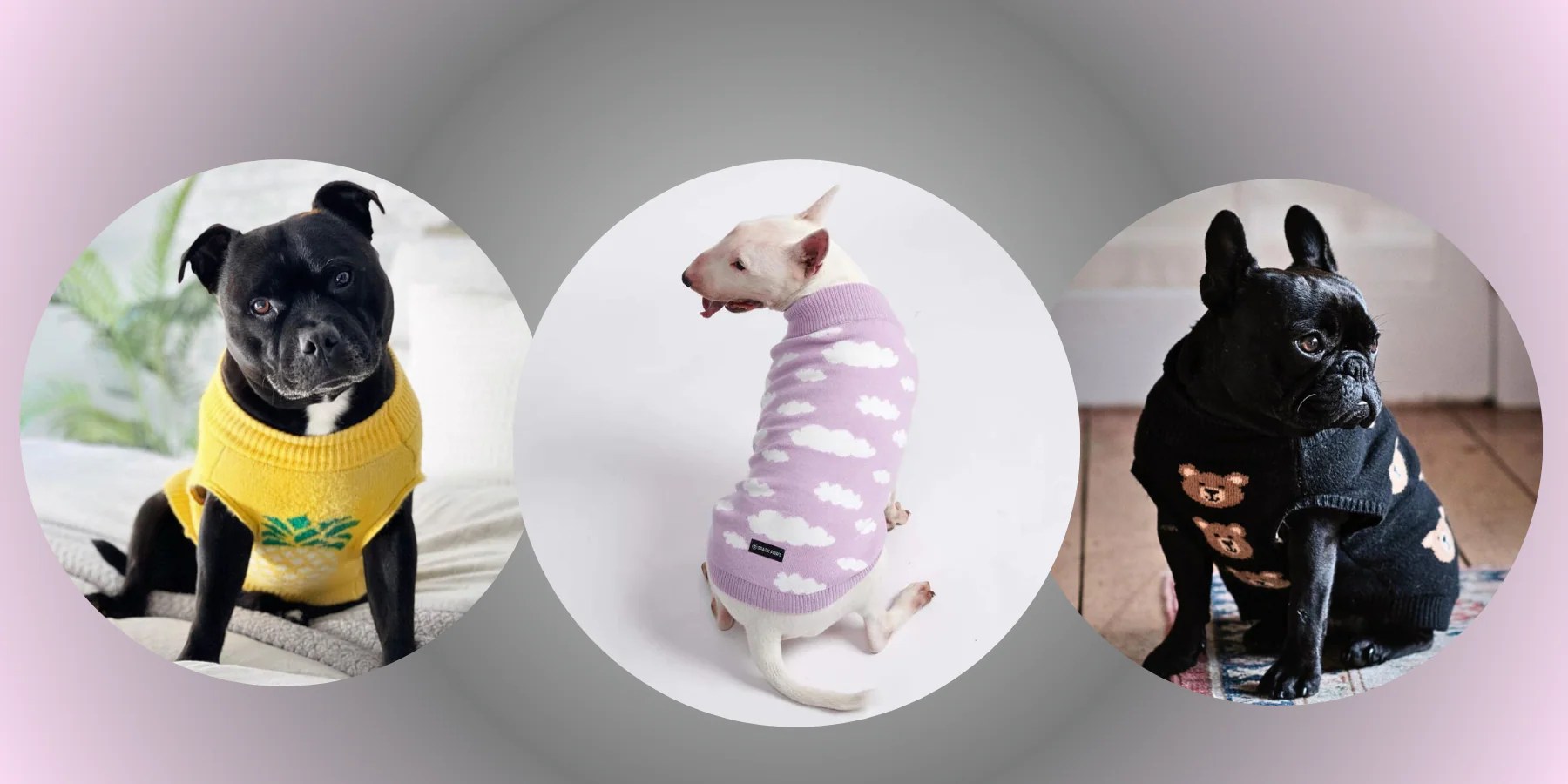 Sizing Your Dog’s Sweater SPARK PAWS