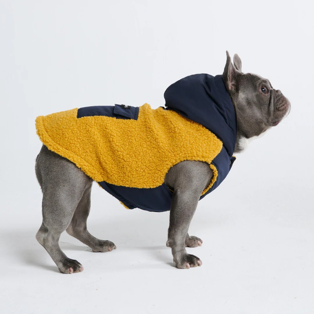 Reversible Dog Jacket Yellow and Navy SPARK PAWS