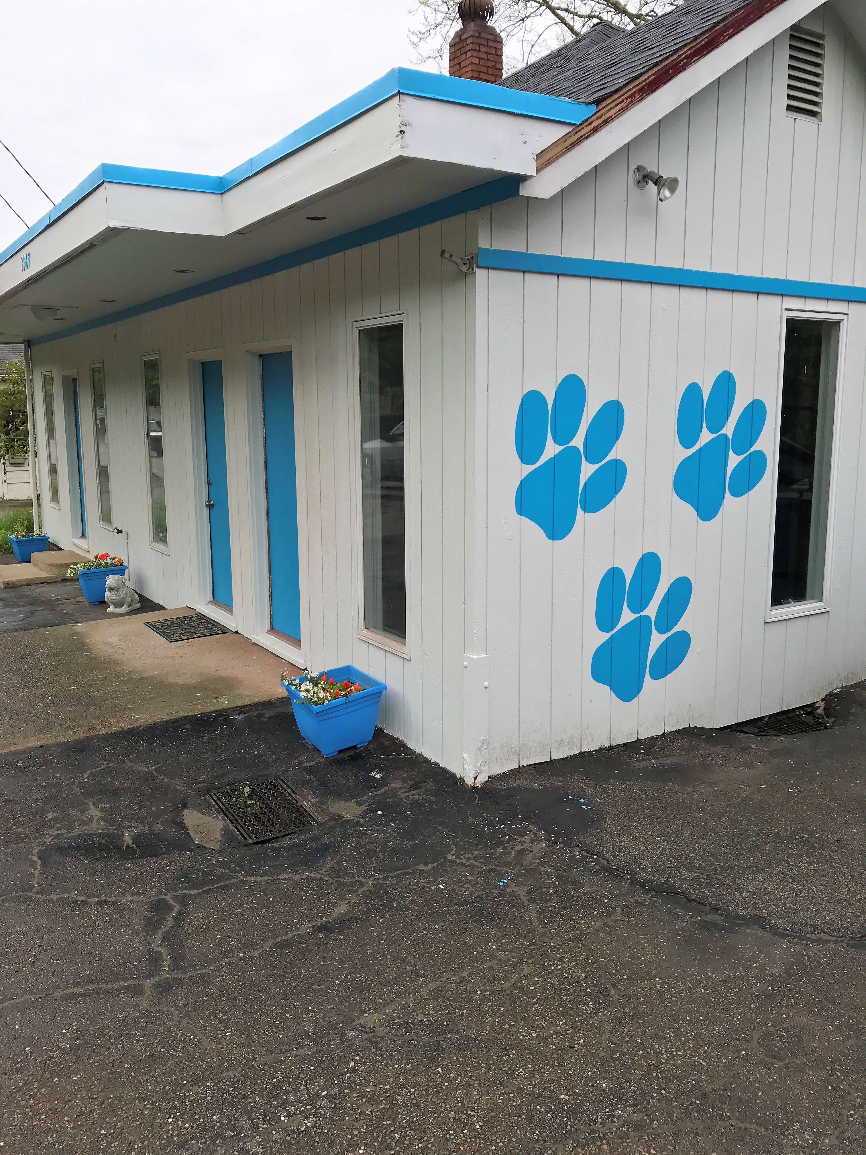 Storefront Spay Neuter Clinic