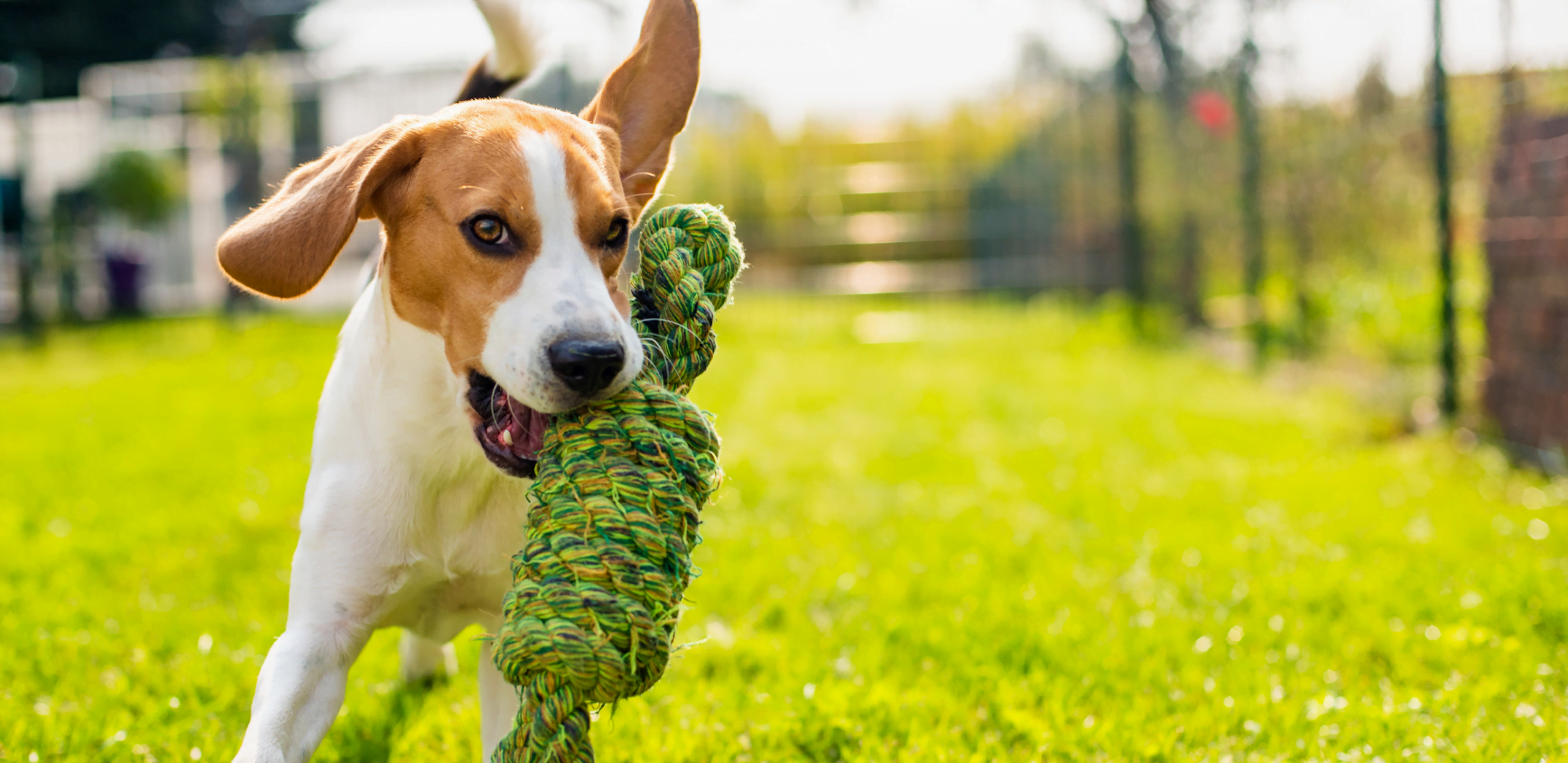 Material donations SPCA de Montréal