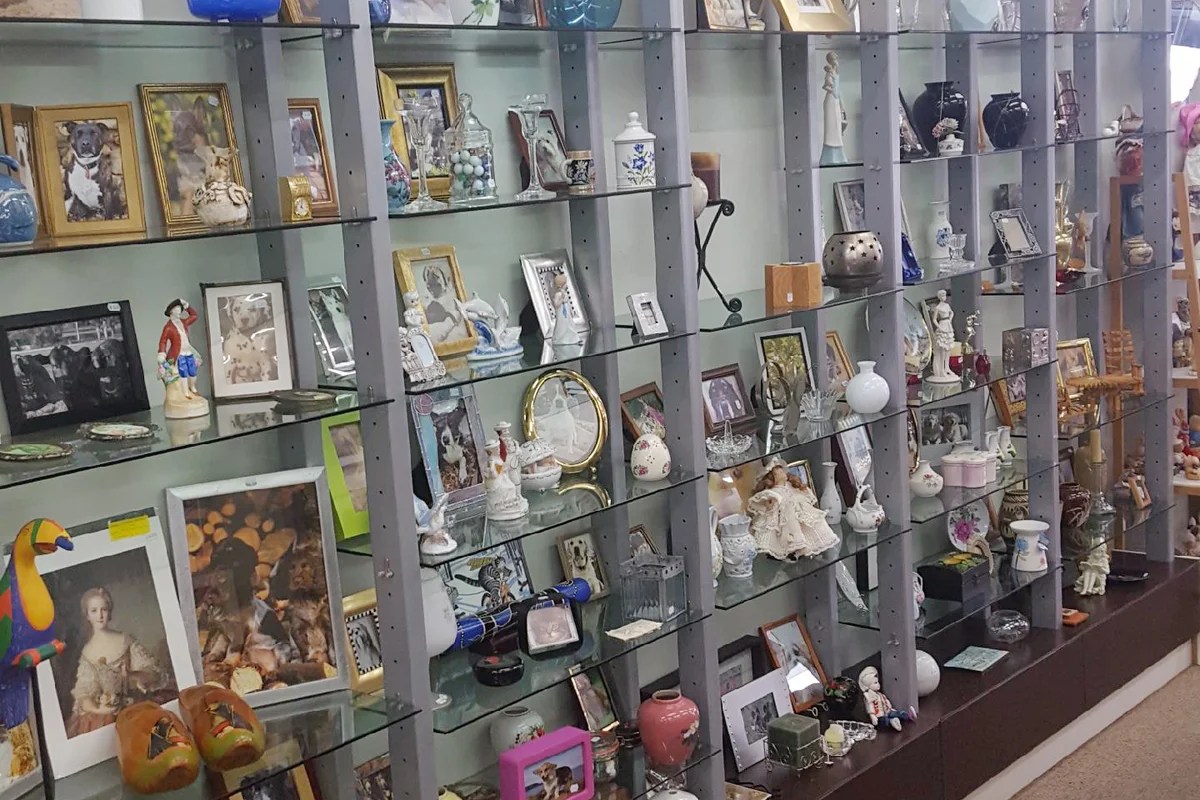 Service Hastings Op Shop • SPCA New Zealand