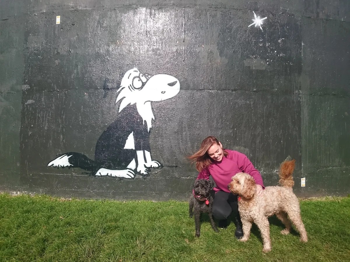 News The best dogfriendly parks across New Zealand • SPCA New Zealand