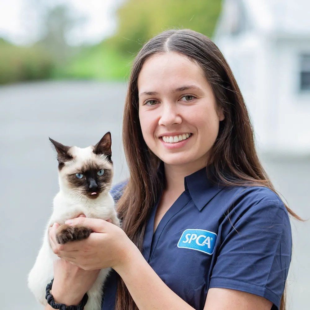 News 150 years of caring for and protecting animals • SPCA New Zealand