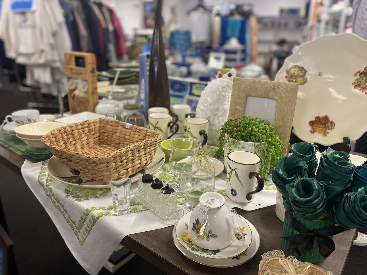 Hamilton East Op Shop • SPCA New Zealand