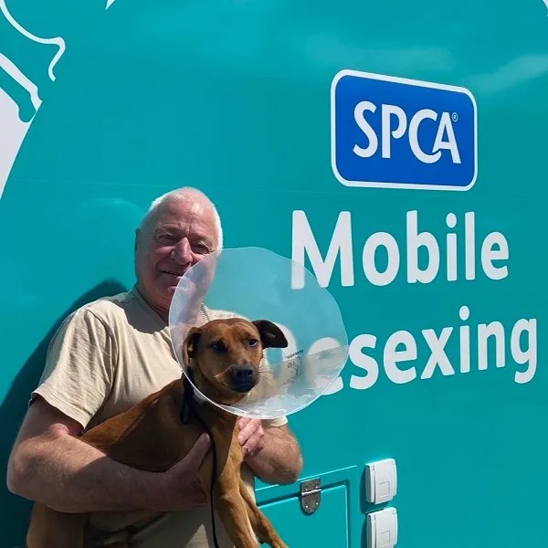 Hundreds of Northland animals are now desexed thanks to the SPCA Mobile