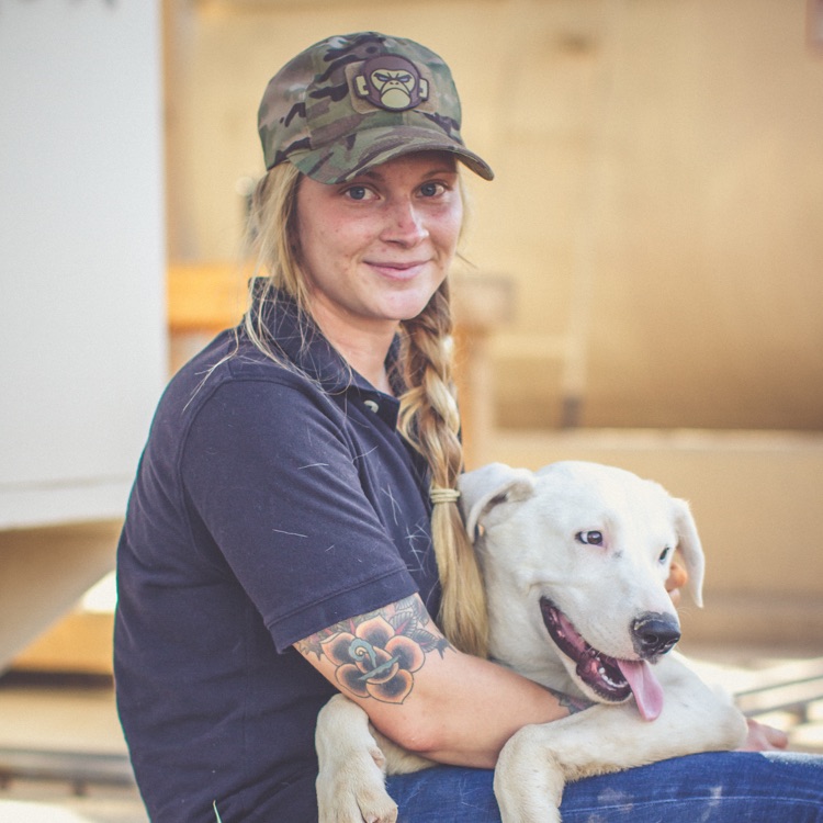 News SPCA International