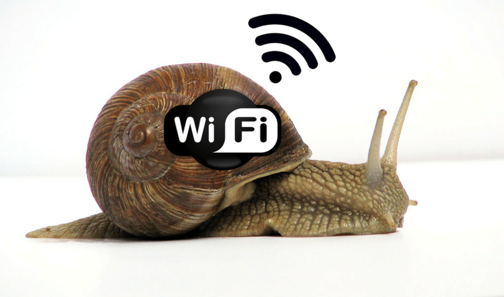Slow WiFi 6 tips to improve connection speed Speaky Magazine
