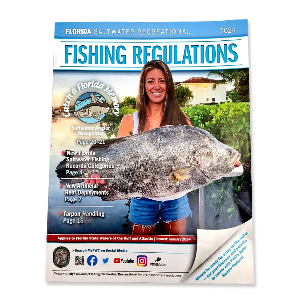 Florida Fishing Regulations Current Spearfishing World