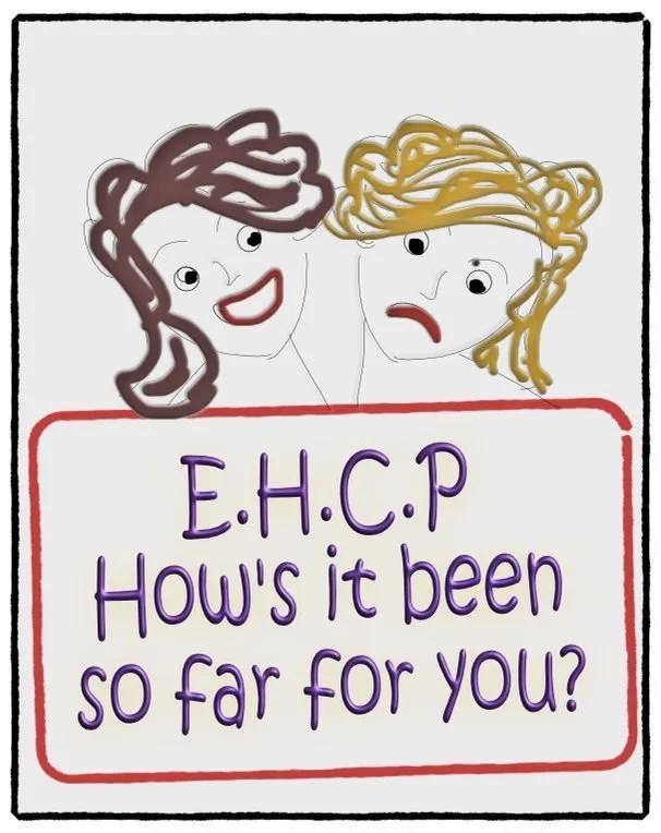 The EHCP 1YearOn Views Recommendations And A Chance To Have Your