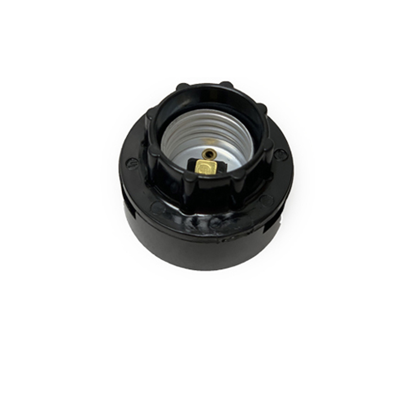 medium base downlight socket - Specialty Lighting