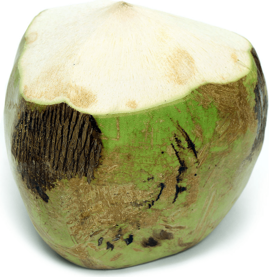 Young Green Coconuts Information and Facts