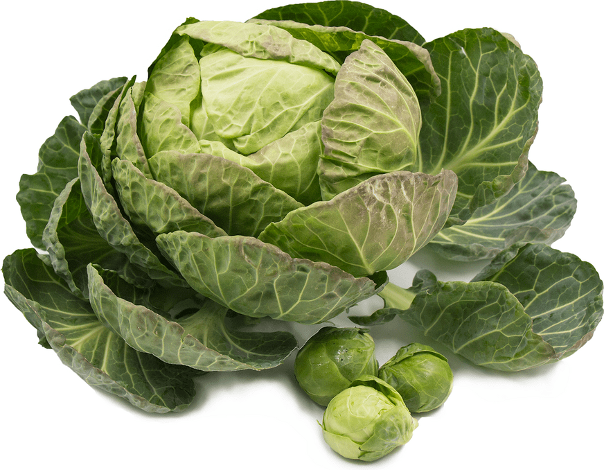 Brussels Sprouts Leaves Information and Facts