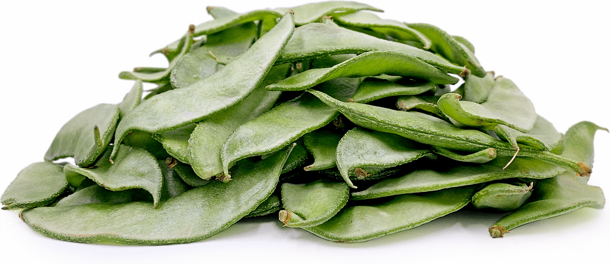 Indian Broad Beans Information, Recipes and Facts