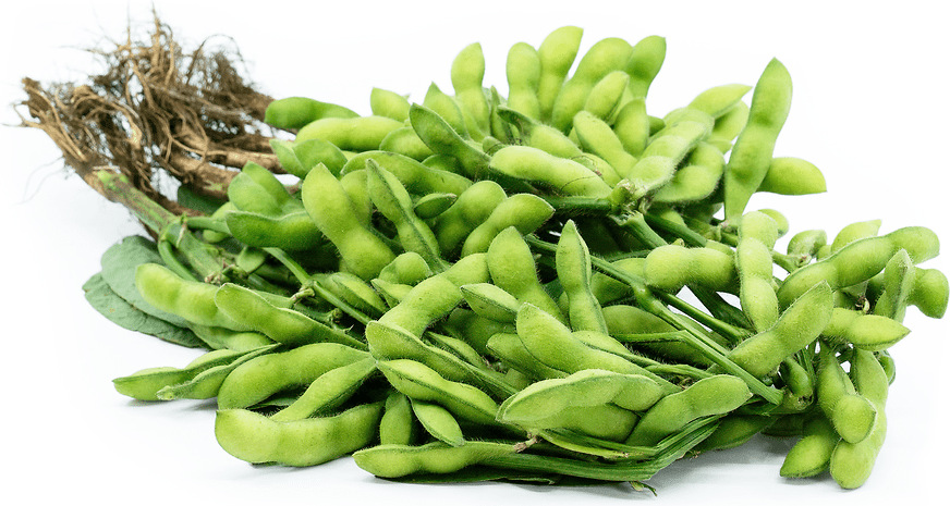Edamame Information, Recipes and Facts