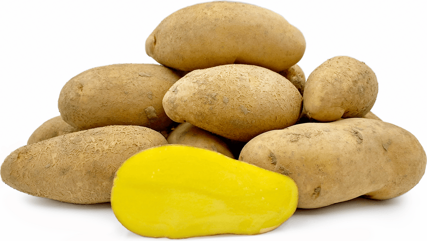Mayan Gold Potatoes Information, Recipes and Facts