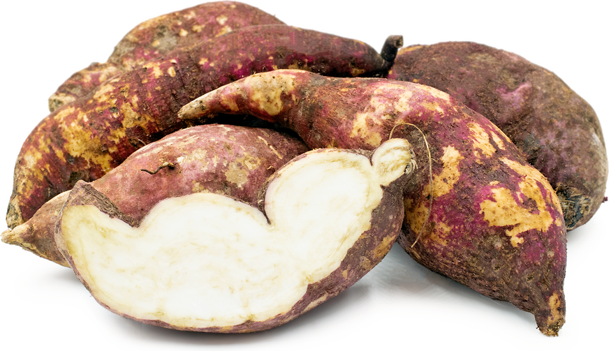 Boniato Sweet Potatoes Information, Recipes and Facts