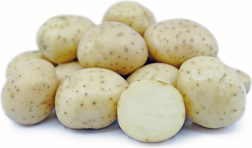 White Rose Potatoes Information, Recipes and Facts