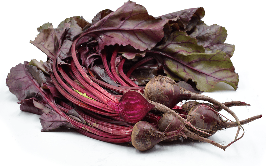 Baby Bulls Blood Beets Information, Recipes and Facts