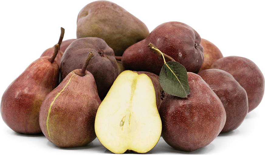 Red Bartlett Pears Information, Recipes and Facts