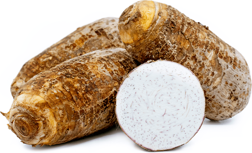 Big Taro Root Information, Recipes and Facts
