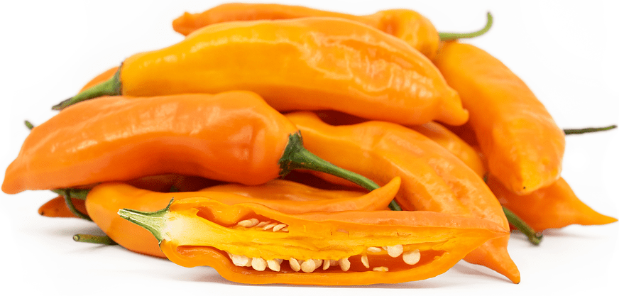Aji Amarillo Chile Pepper Information, Recipes and Facts