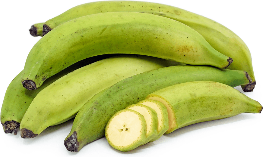 Plantain Banana