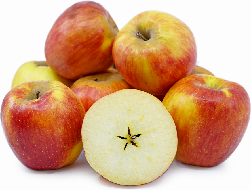 Autumn Greeting Apples Information and Facts