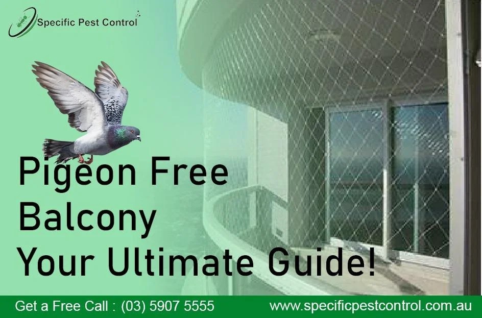 How to keep Pigeons off the balcony?