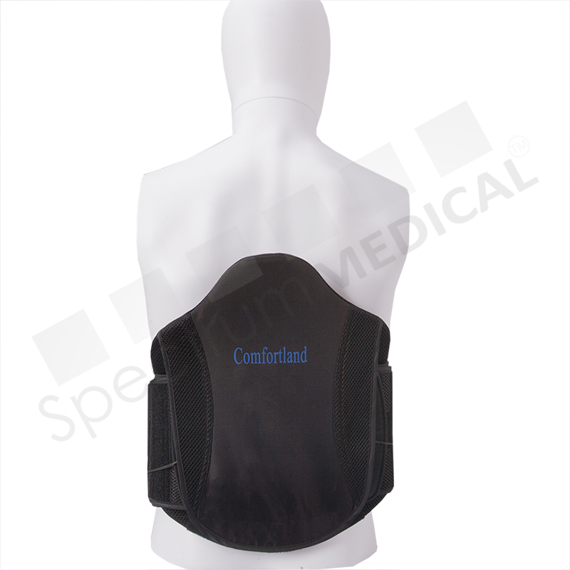Delta 37, coded L0637/L0650 Back Brace Spectrum Medical