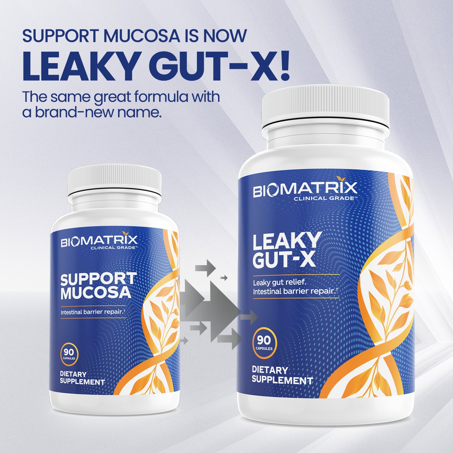 Buy Leaky GutX (formerly Support Mucosa) 90 Capsules Supplement