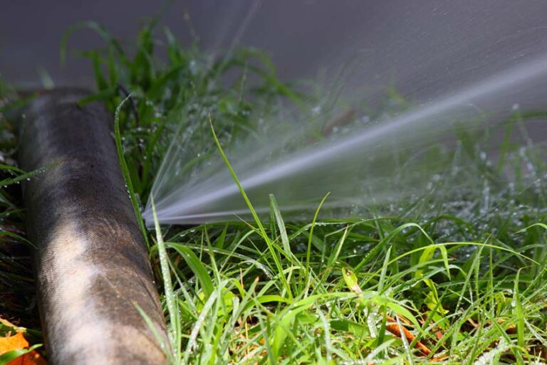 What Causes Leaks in Your Sewer Line Speedy Rooter Plumbing