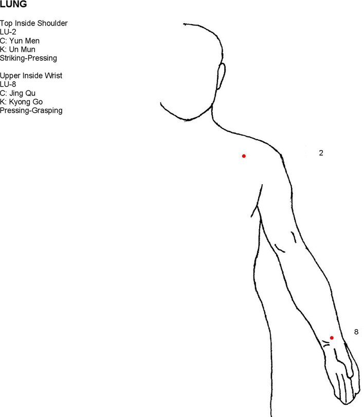 Free Pressure Point Chart PDF 1344KB 16 Page(s) Page 3