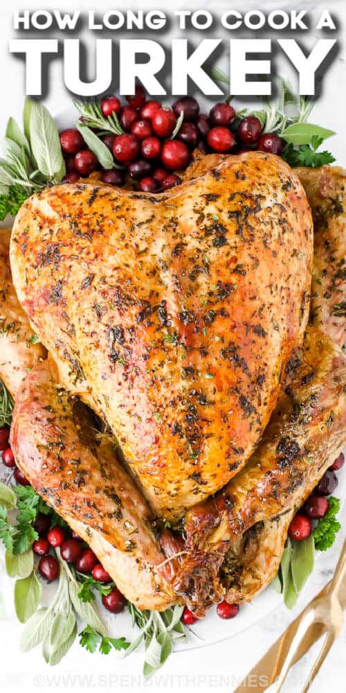 How Long to Cook a Turkey - Karinokada