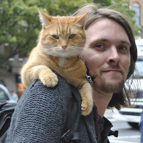 James Bowen Sperling & Kupfer Editore