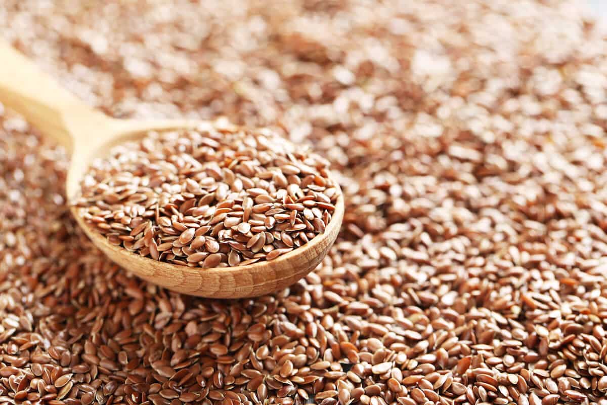 flax seed meal alternative