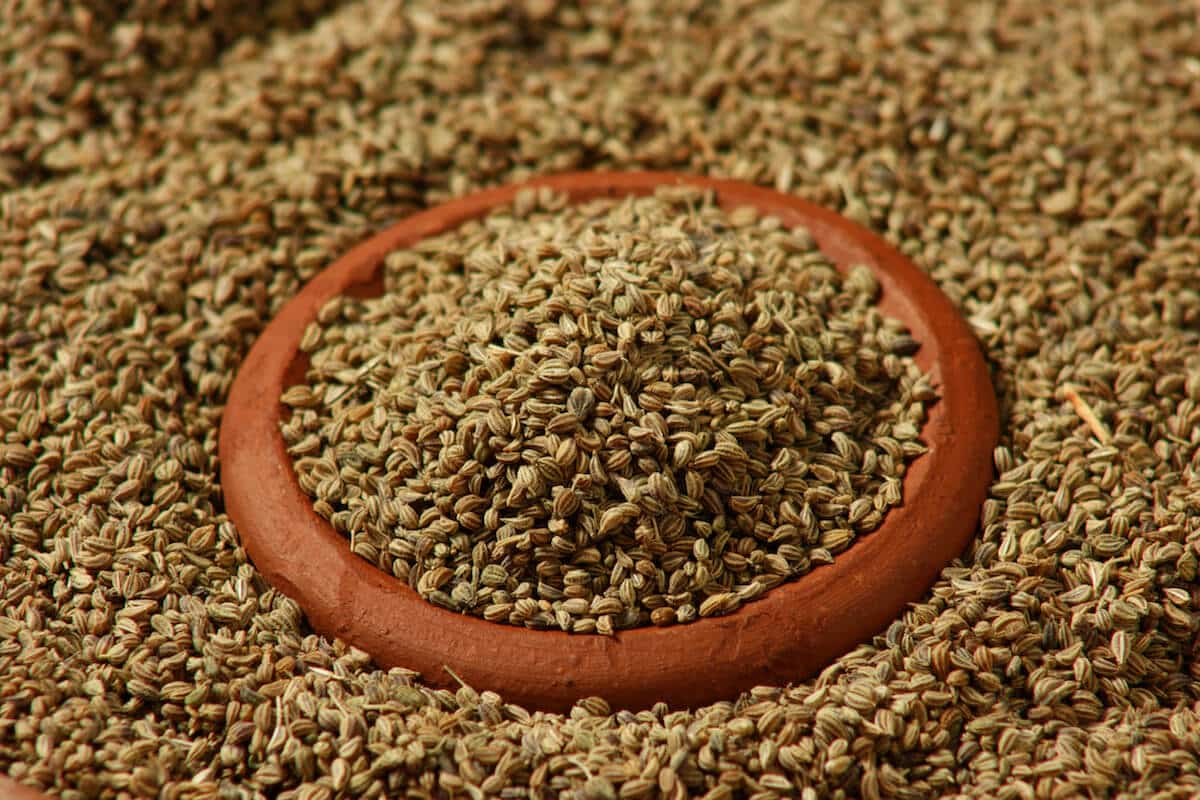What's A Good Carom Seed Substitute? SPICEography