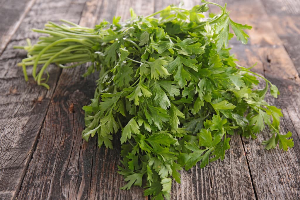 Cilantro Vs. Parsley How Do They Compare?