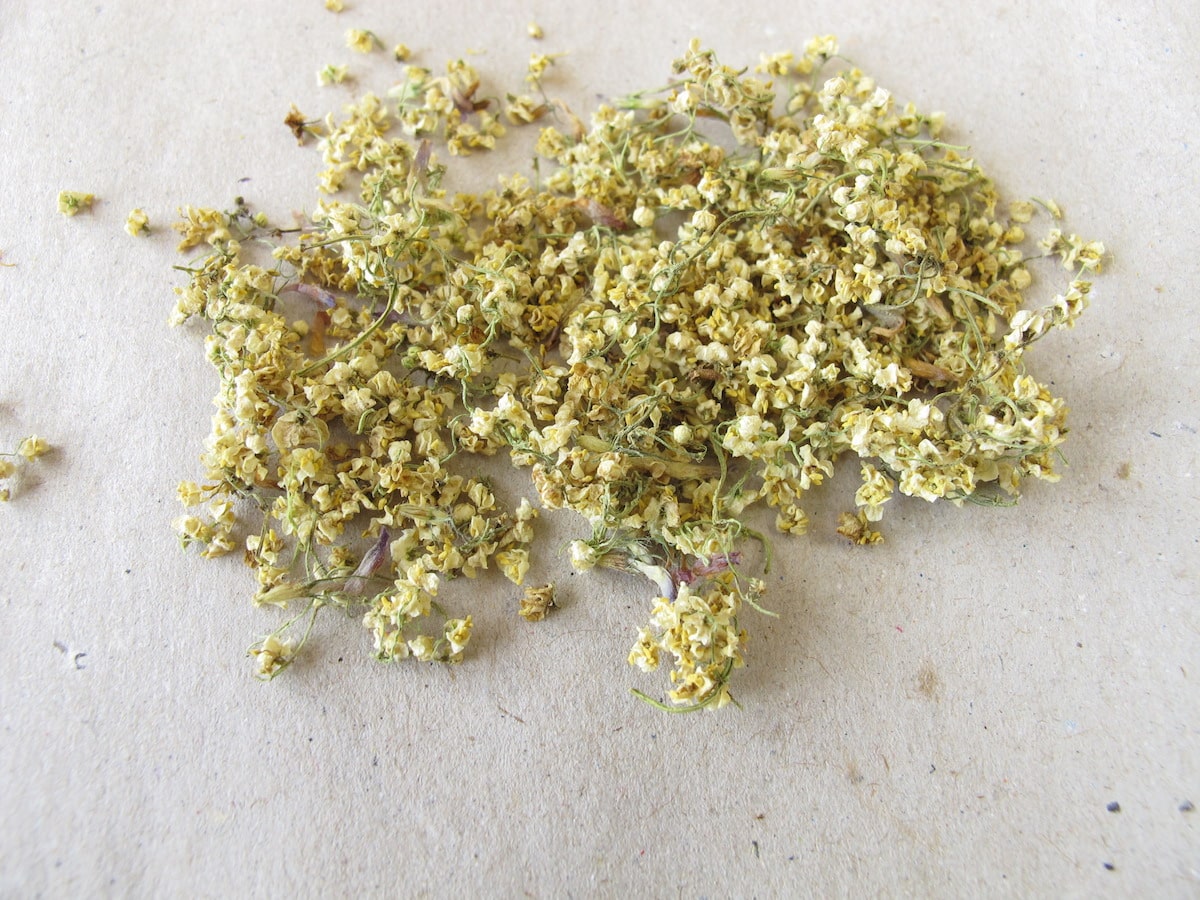 What's A Good Elderflower Substitute?