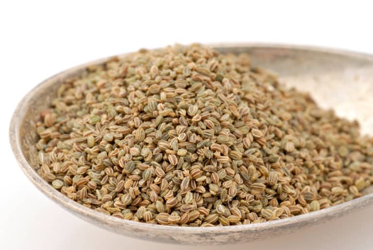 Celery Seed Vs. Celery Salt How Do They Compare?