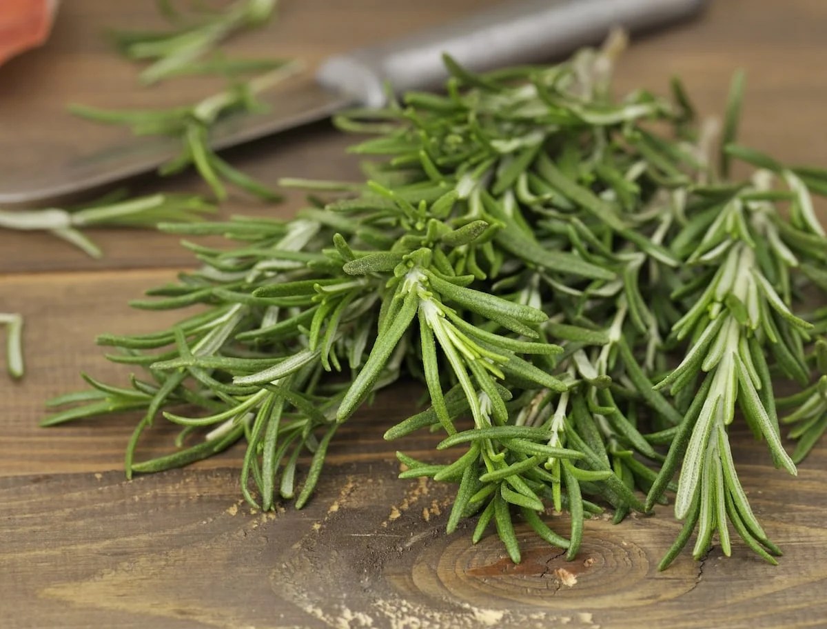 How To Store Rosemary For The Freshest Flavor