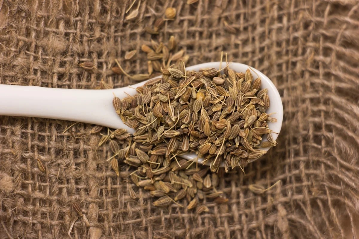 What's A Good Anise Seed Substitute?