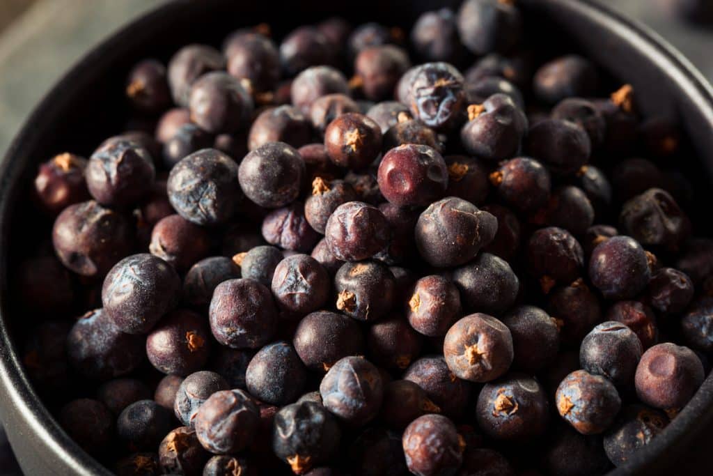 Juniper Berries The Flavor Of Gin And Alpine Cooking