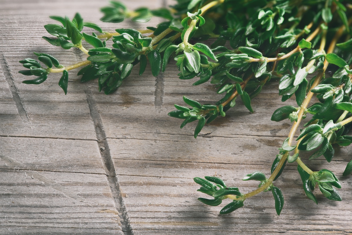 Cooking With Thyme The Dos And Don'ts