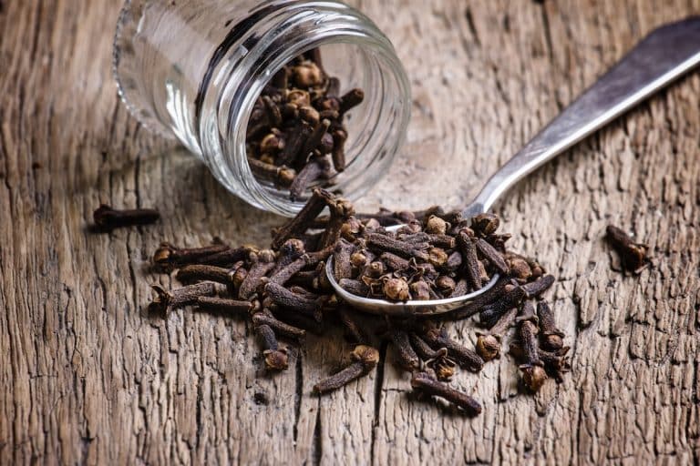 Cooking With Cloves The Dos And Don'ts