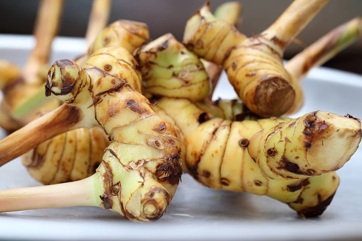 What’s A Good Galangal Substitute? SPICEography