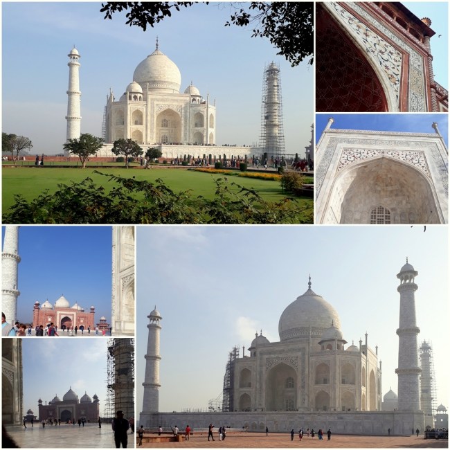 Different Views of the Taj Mahal