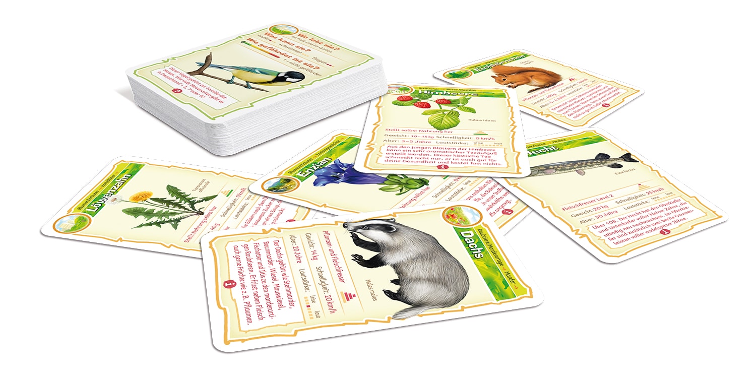 Abenteuer Schule NaturBingo ASS Altenburger Spielkarten