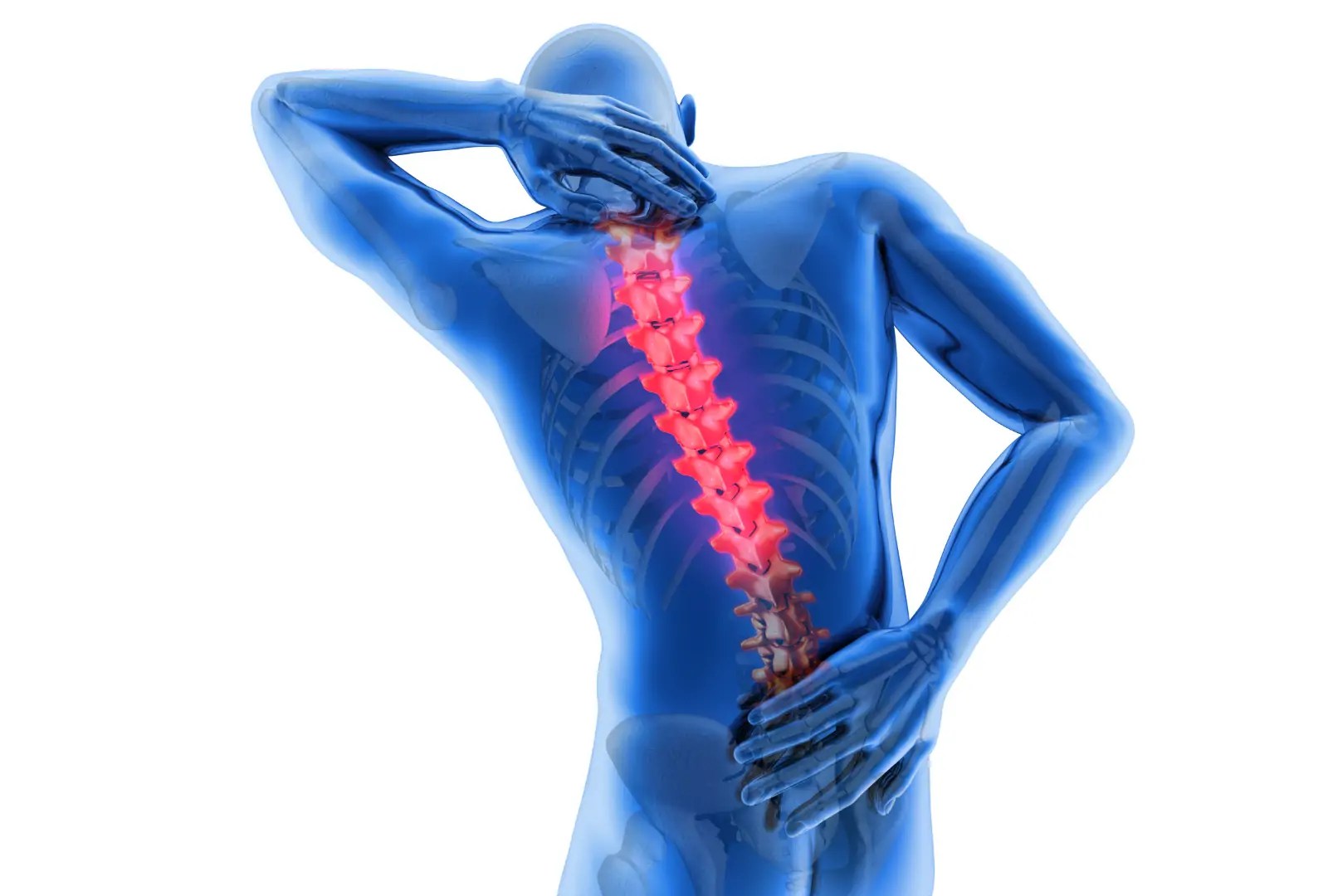 What causes thoracic back pain? Spinal Backrack
