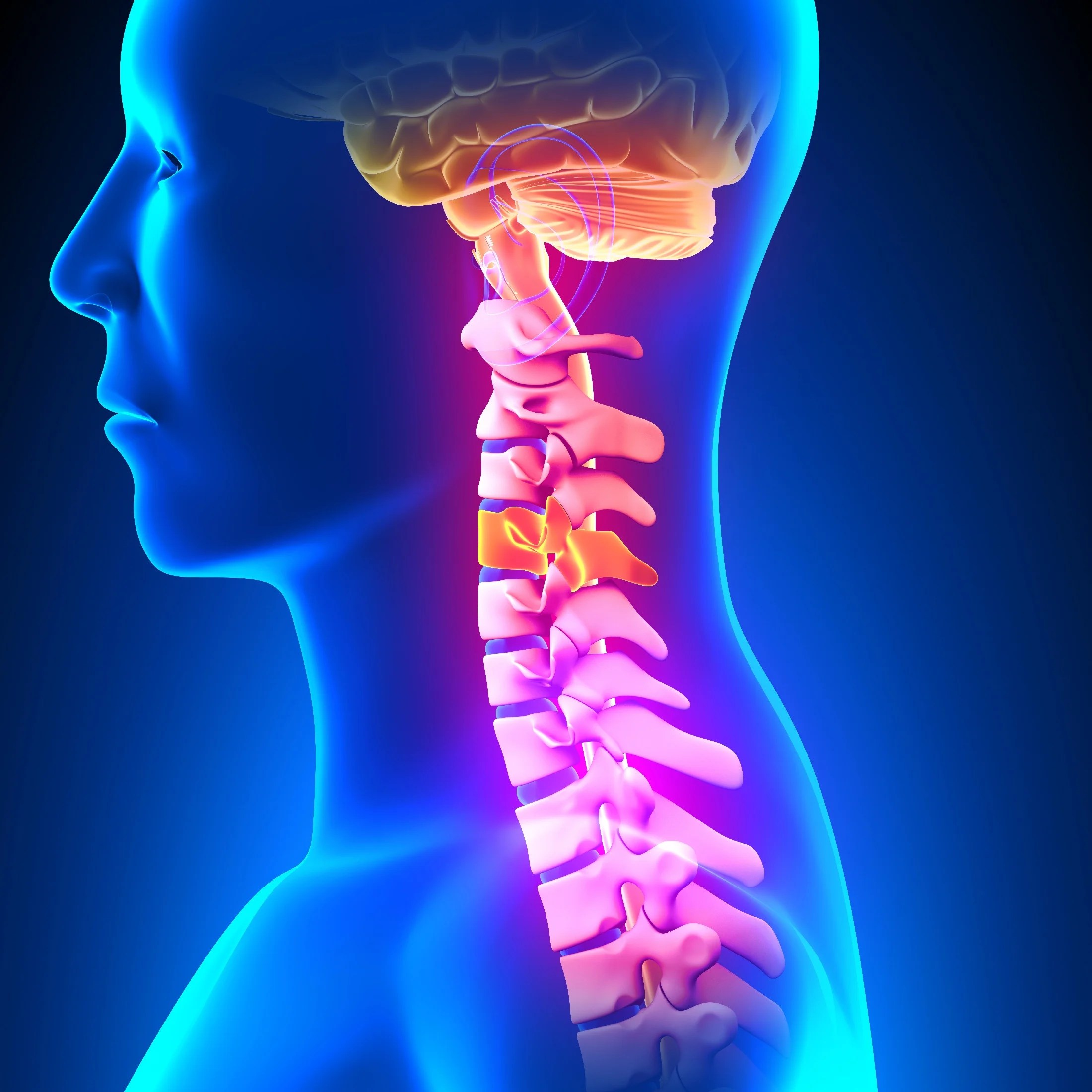 What to Know about a C4 Spinal Cord Injury