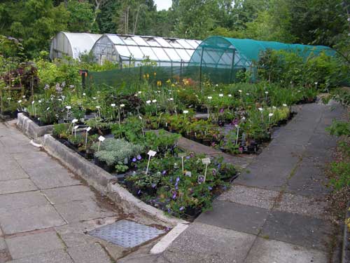 Spinners Garden and Nursery Plant search